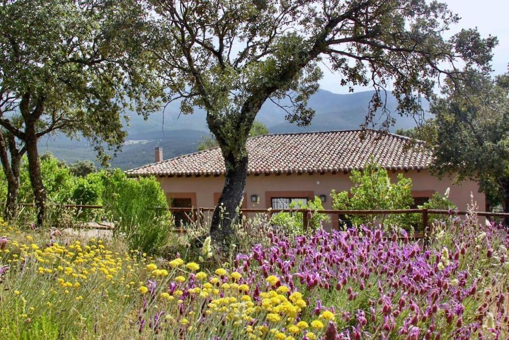 Casa Rural La Joyona Los Navalucillos Exterior foto