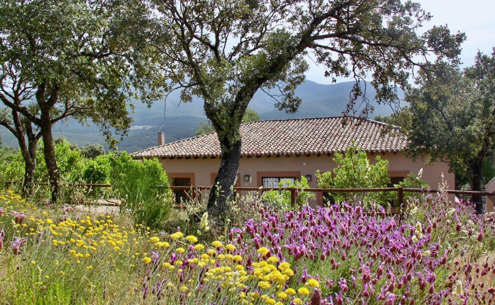 Casa Rural La Joyona Los Navalucillos Exterior foto